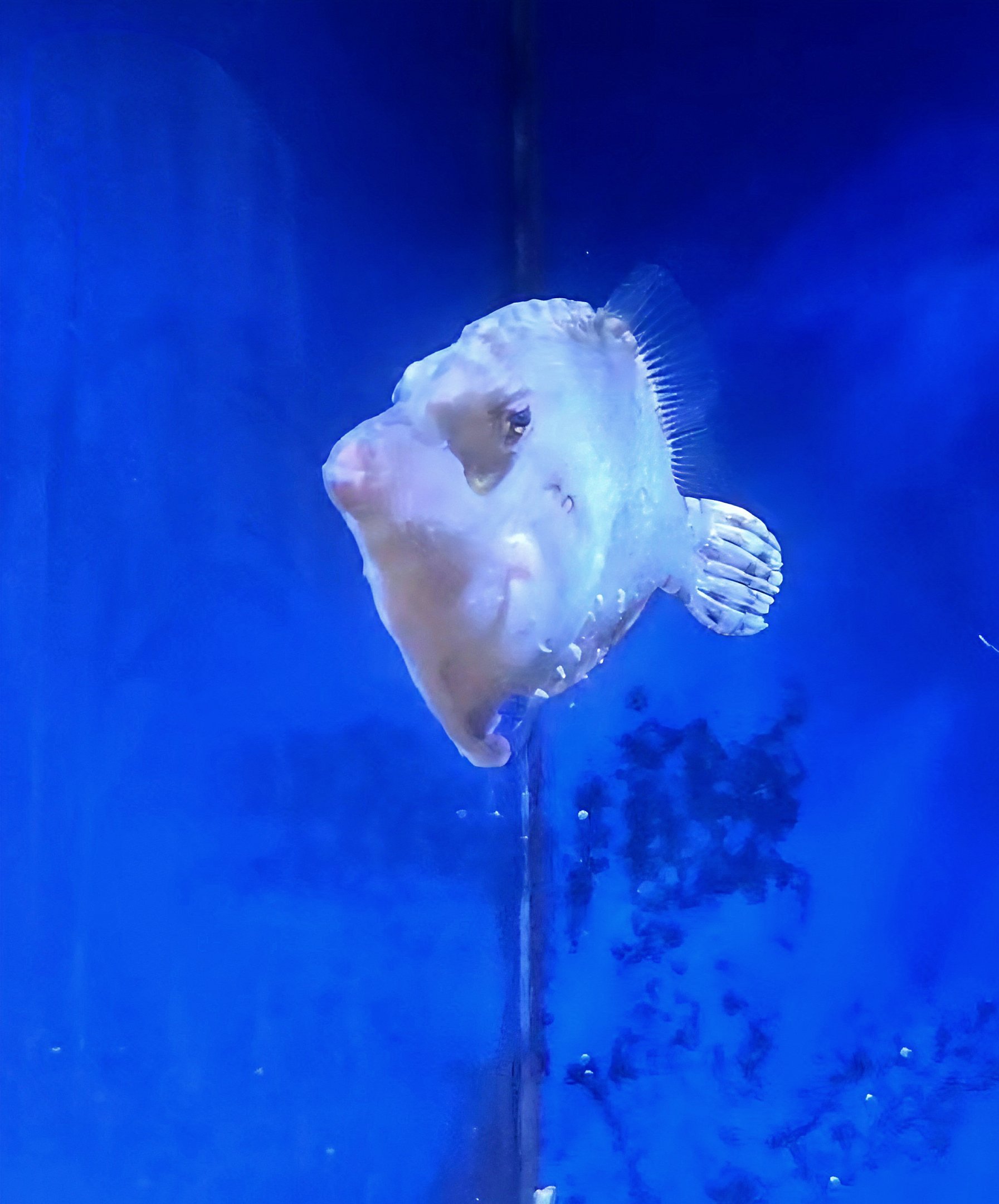 Can anyone please help identify,?