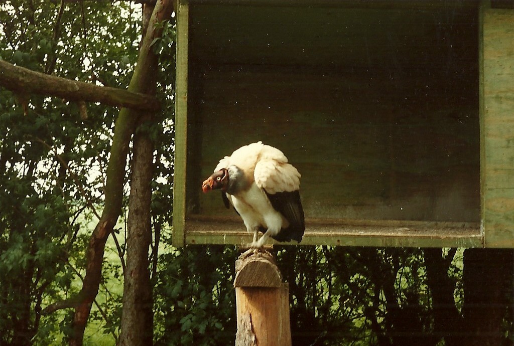 Can anyone recognise the collection please?