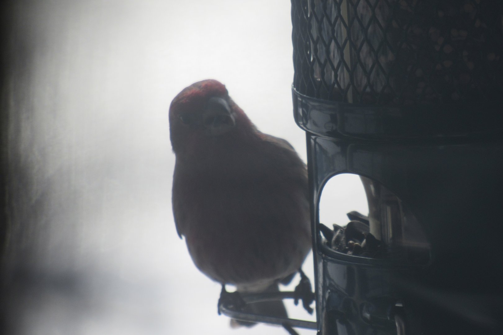 can some one identify please