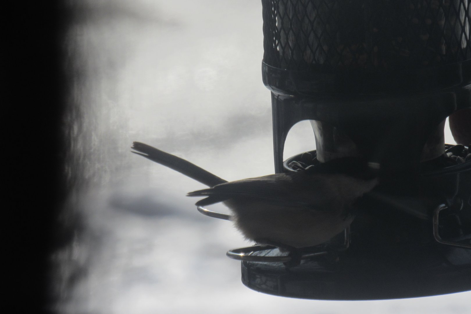 can some one identify please