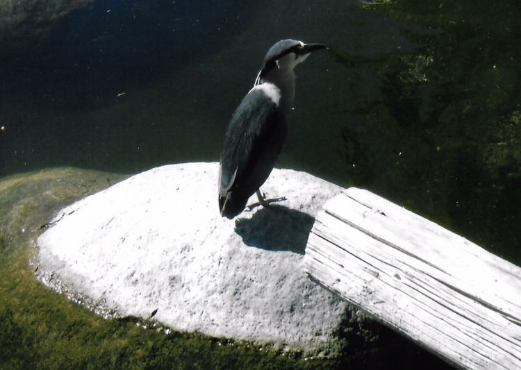 Can somebody identify i took these in 2016