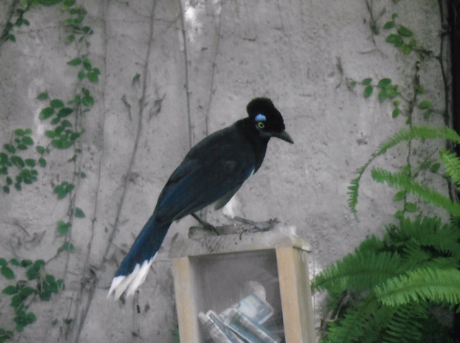 Can somebody identify i took these in 2016