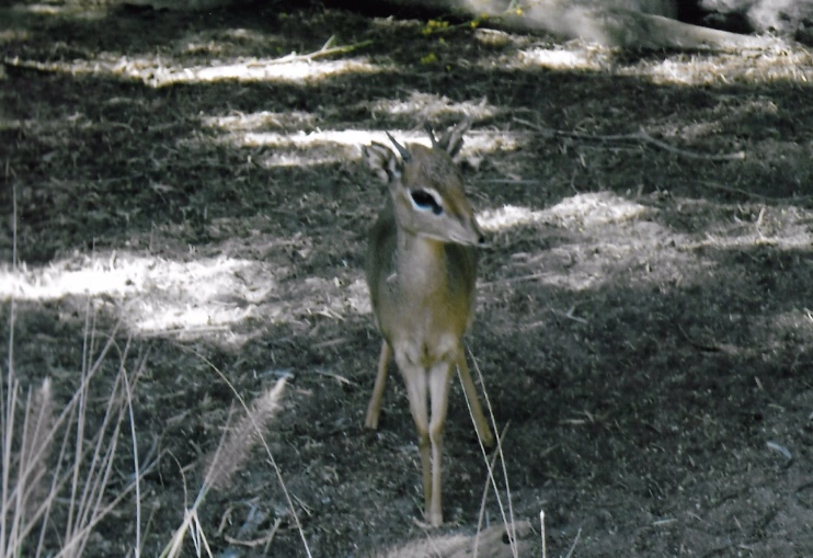 Can somebody identify i took these in 2016