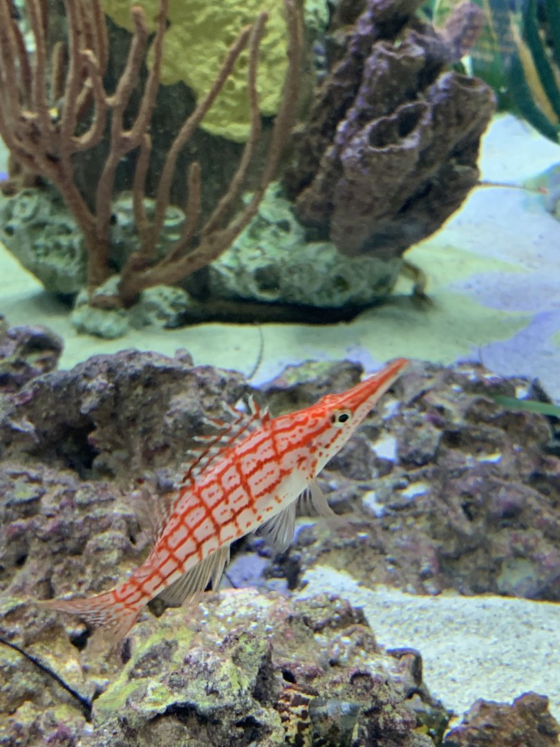 Can somebody Identify please