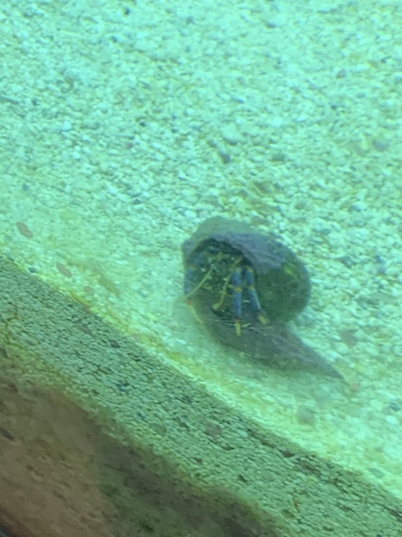 Can somebody Identify please