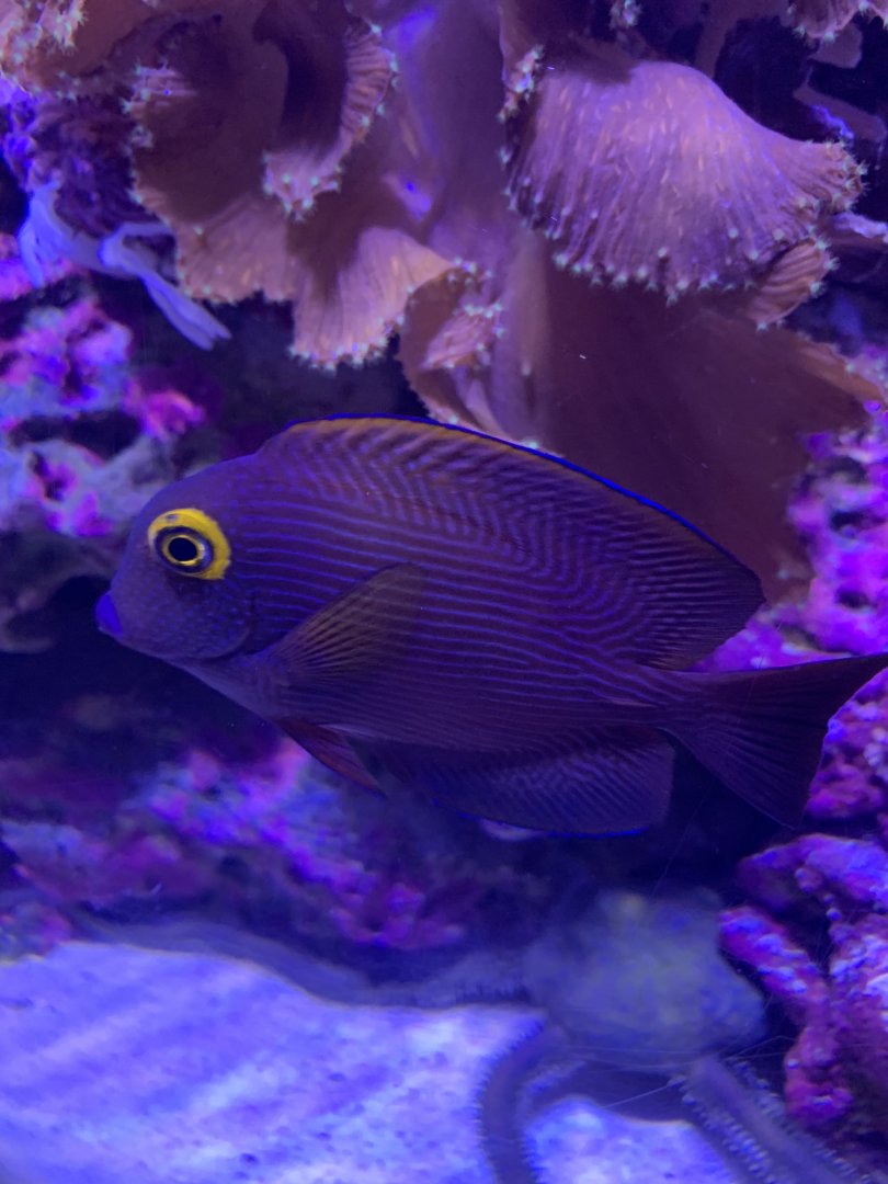 Can somebody Identify please