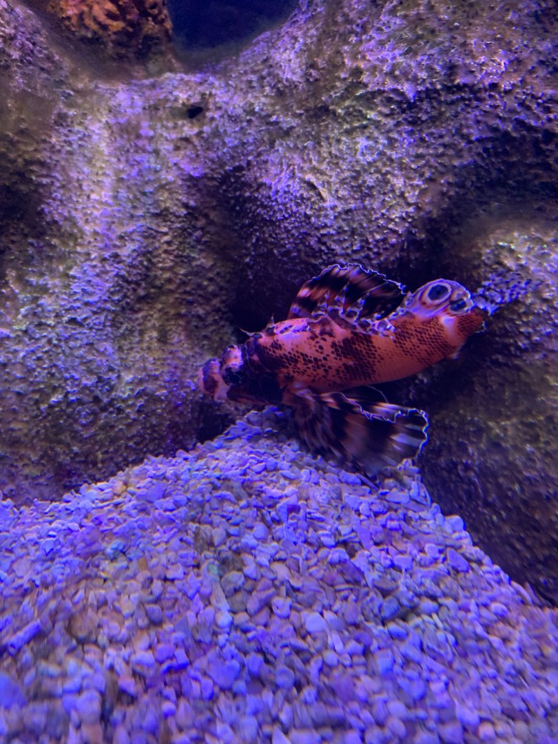 Can somebody Identify please