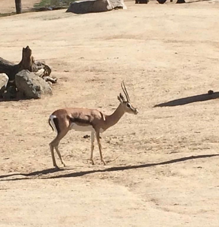 Can somebody identify