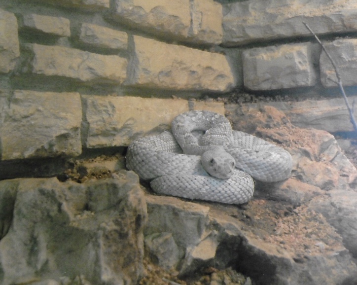 Can somebody identify