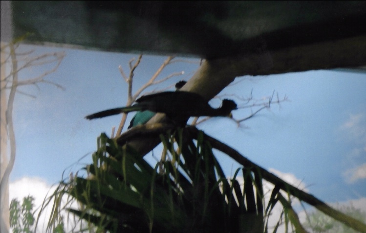 Can somebody identify