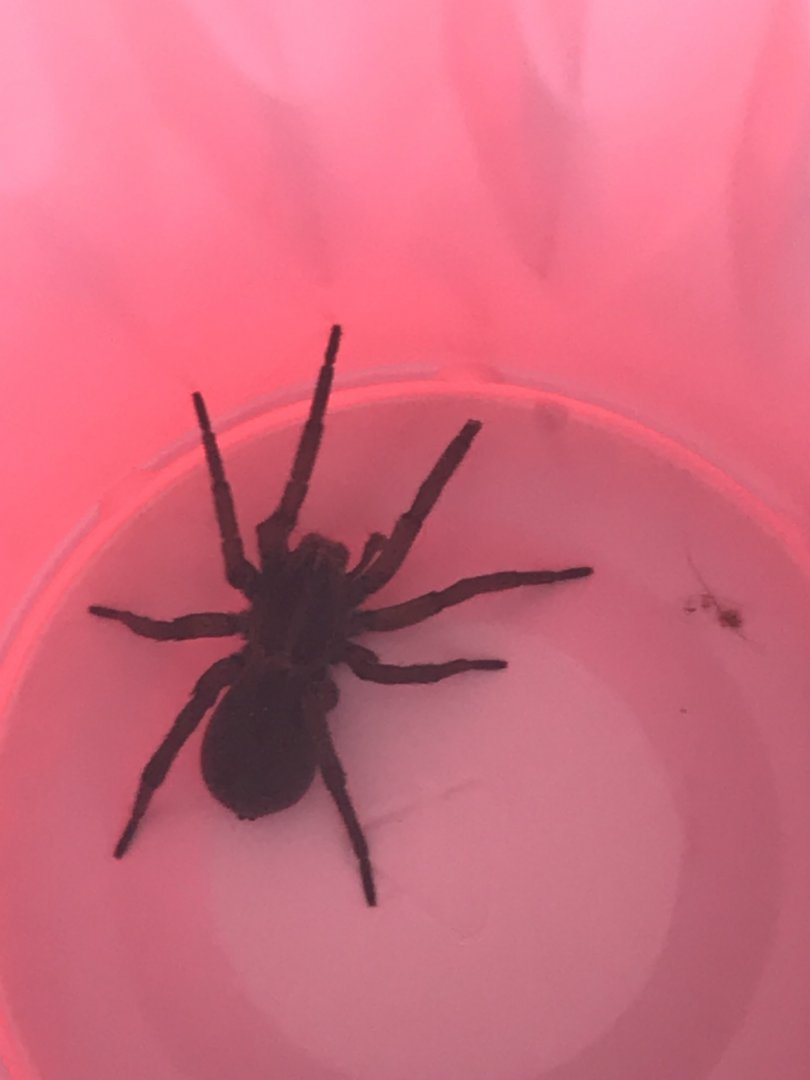 Can somebody identify