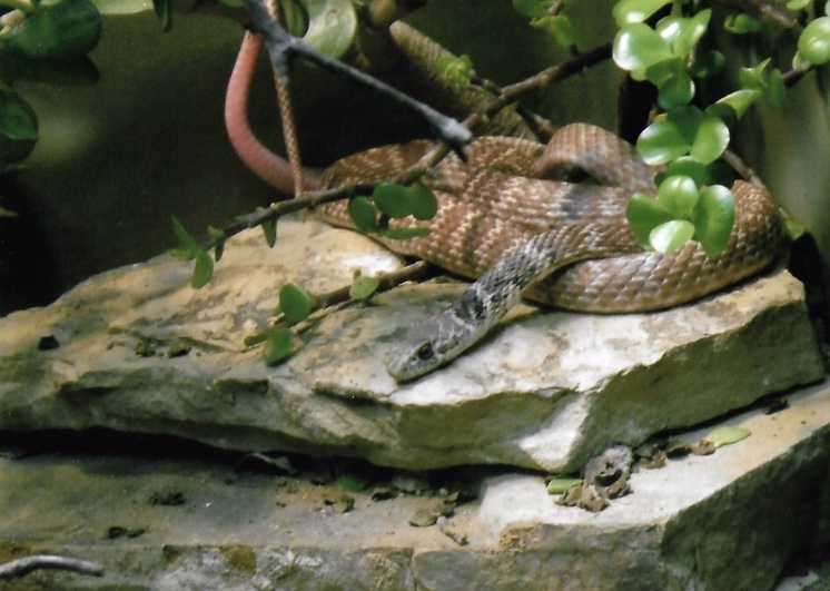 Can somebody identify