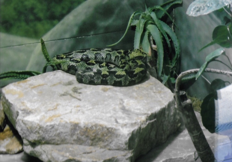 can somebody identify