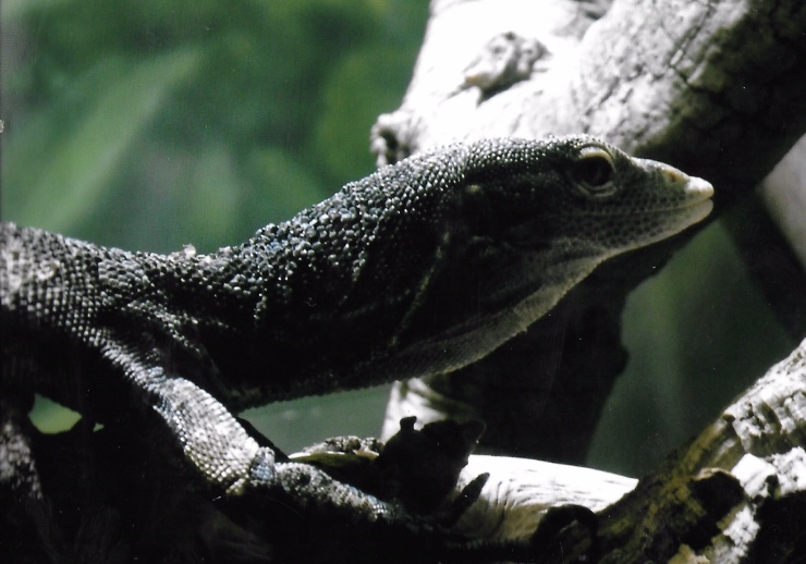 Can somebody identify