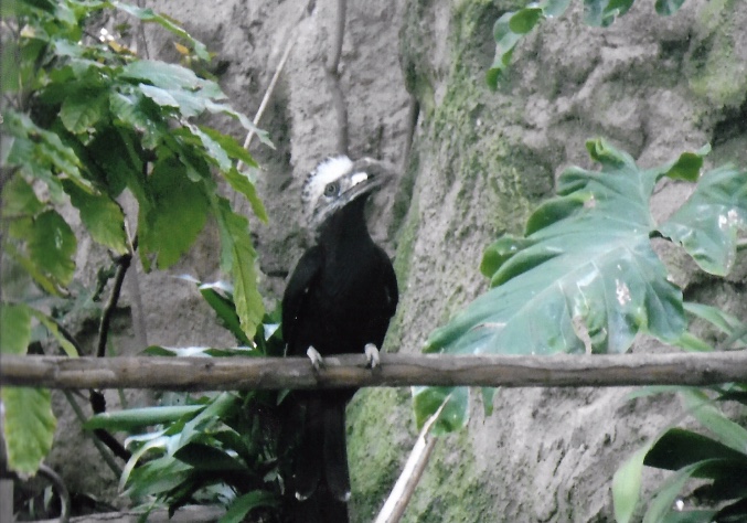 Can somebody identify