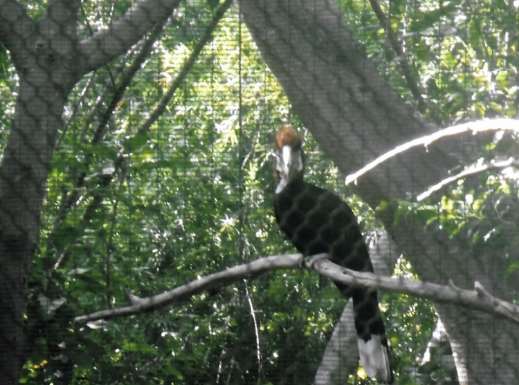 Can somebody identify