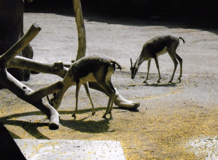 Can somebody identify