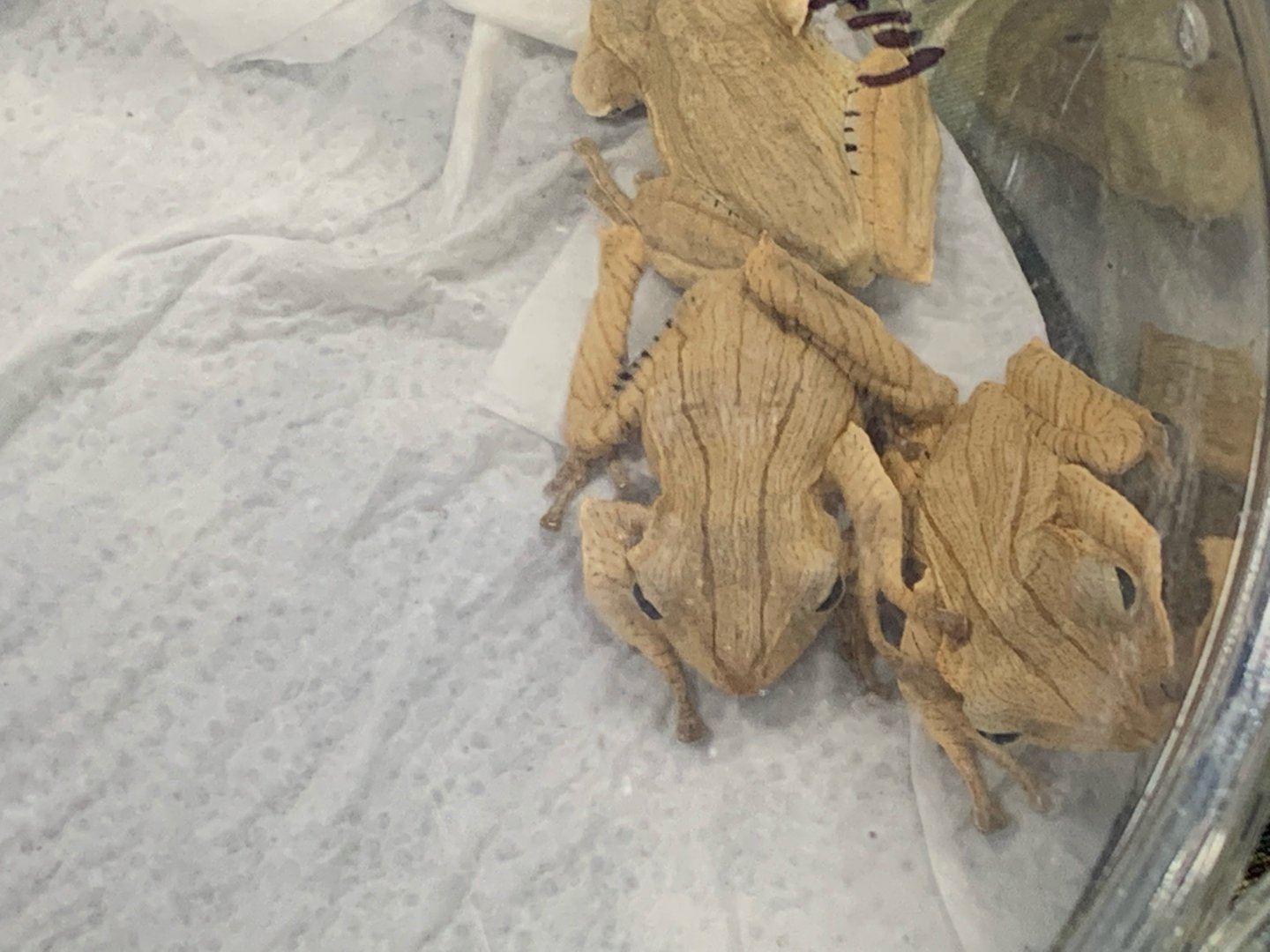 Can somebody identify