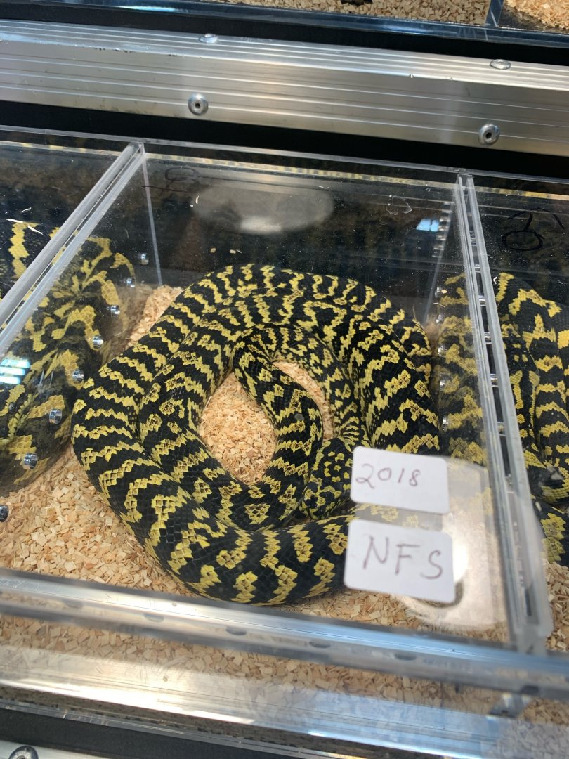 Can somebody identify