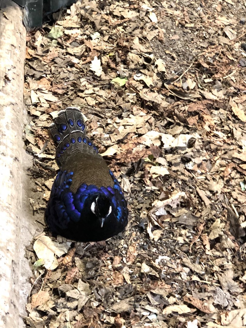 Can someone identify this for me please.