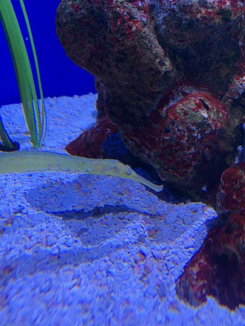 Can someone identify