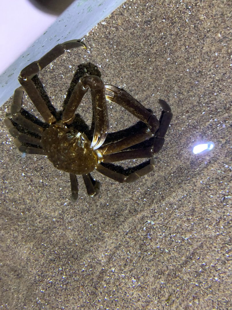 Can someone identify