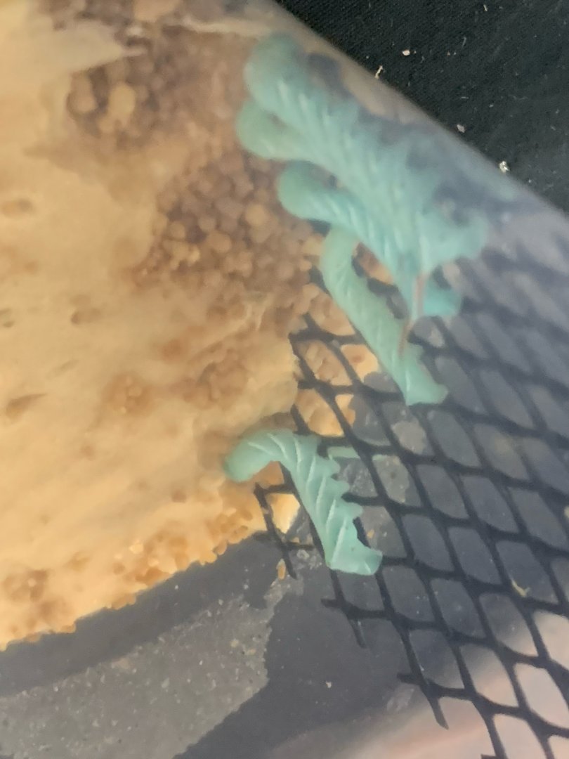 Can someone please identify