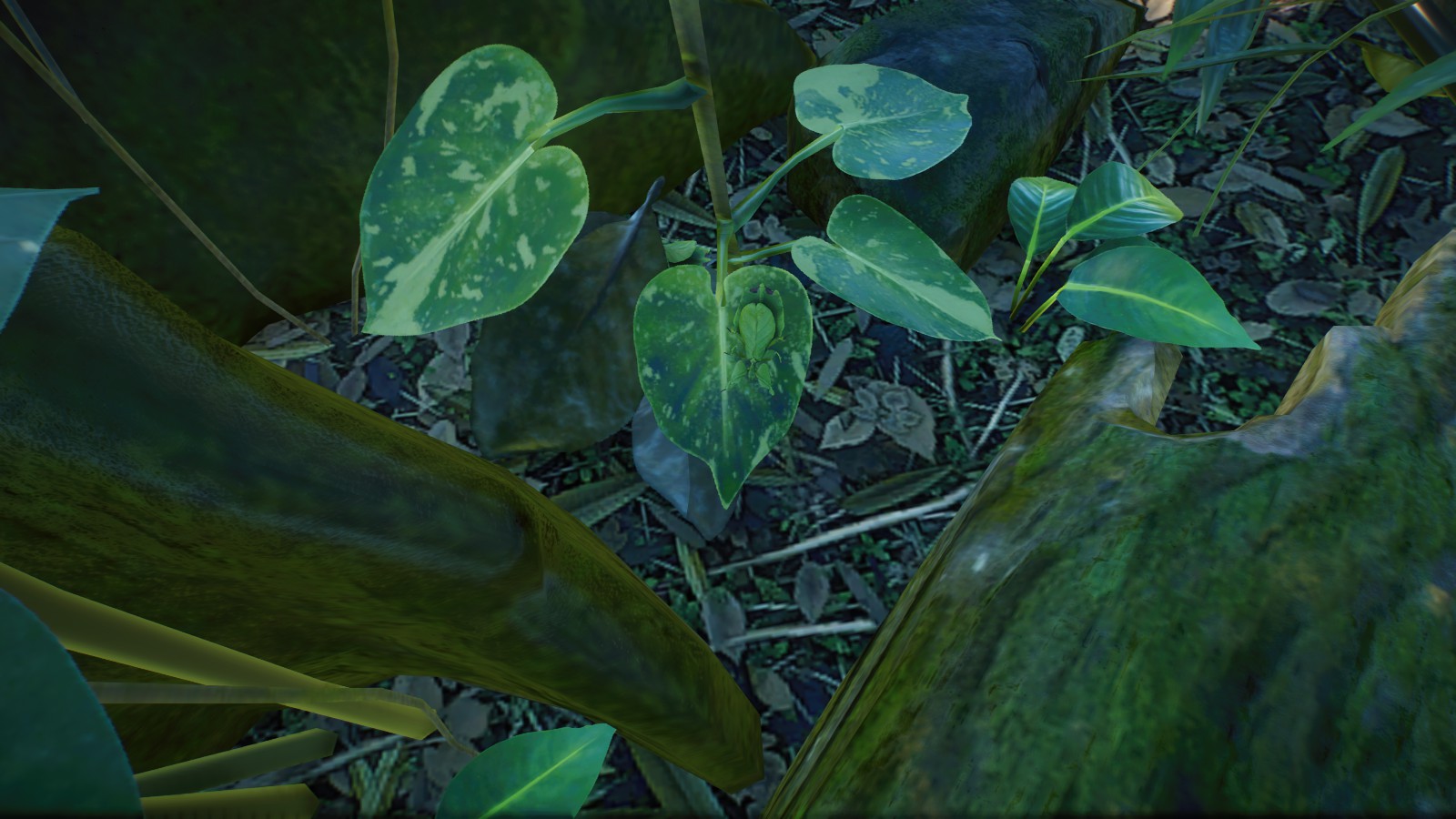 Can you find the walking leafs?