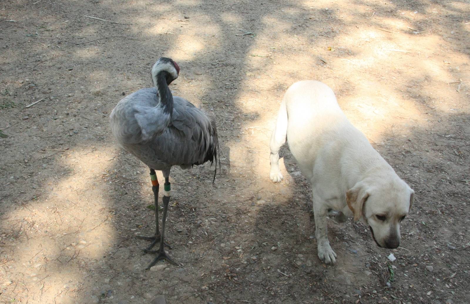 Canada de los Pájaros - parque de aves
