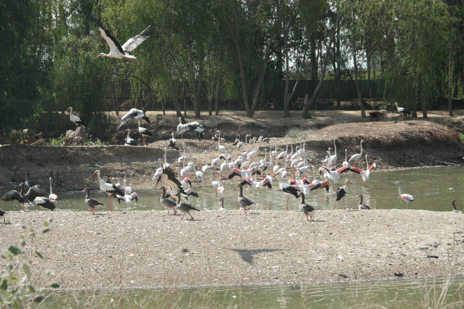 Canada de los Pájaros - parque de aves