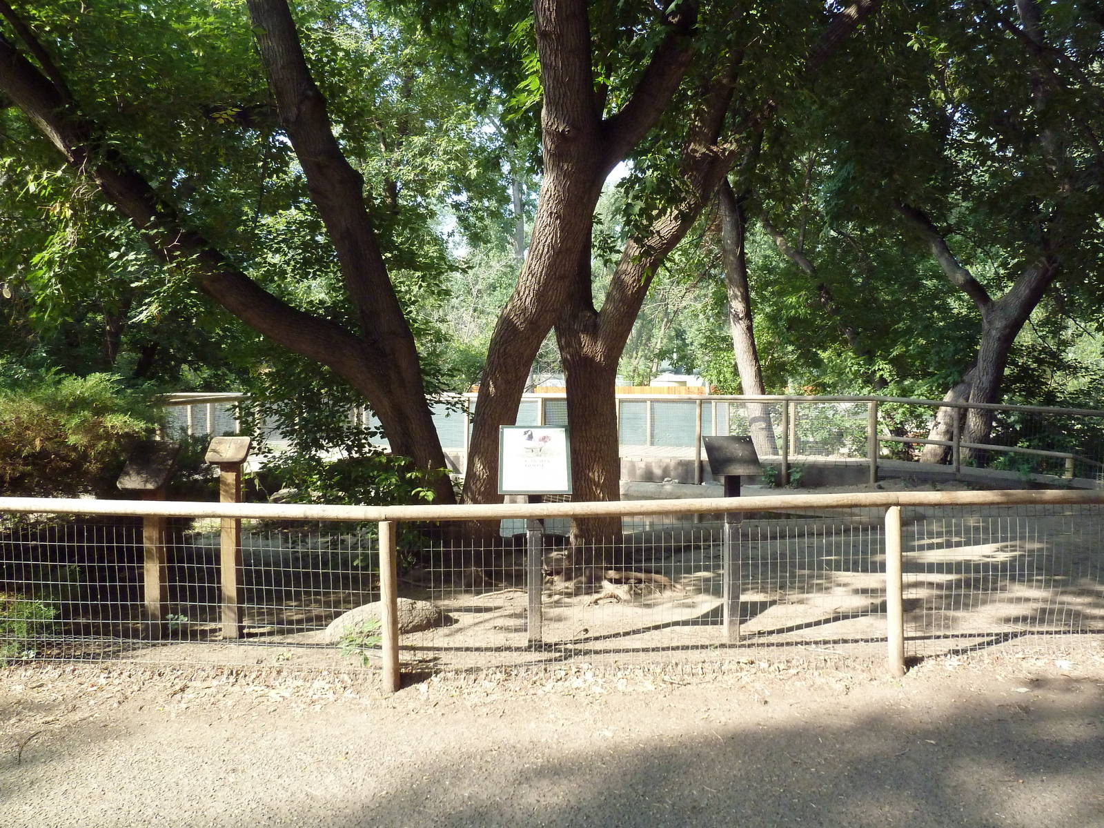 Canada Goose Exhibit