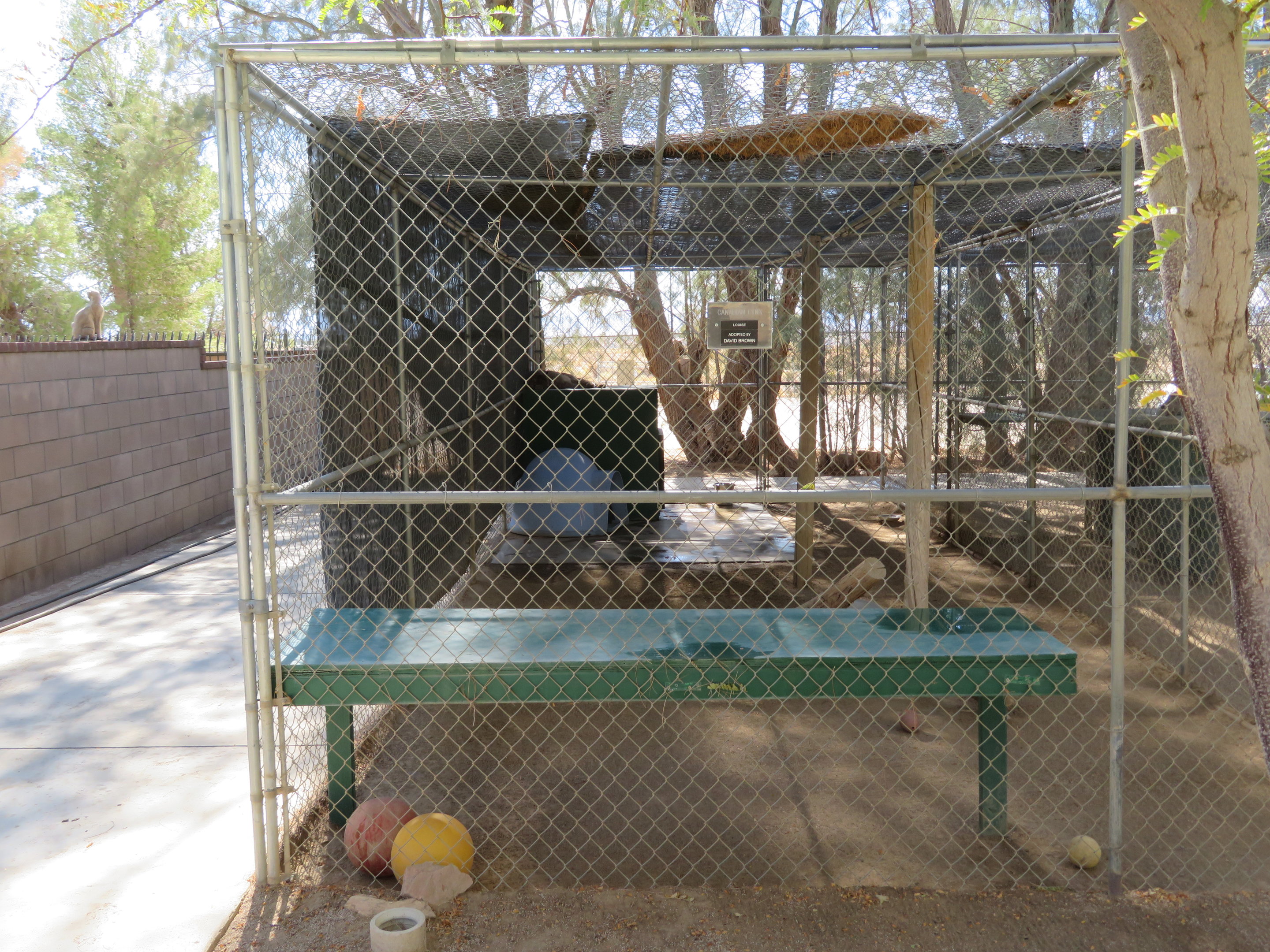 Canada Lynx Enclosure (2022)