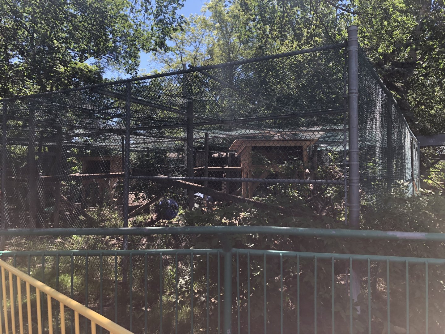 Canada Lynx Enclosure at Edmoton Valley Zoo (July 2022)