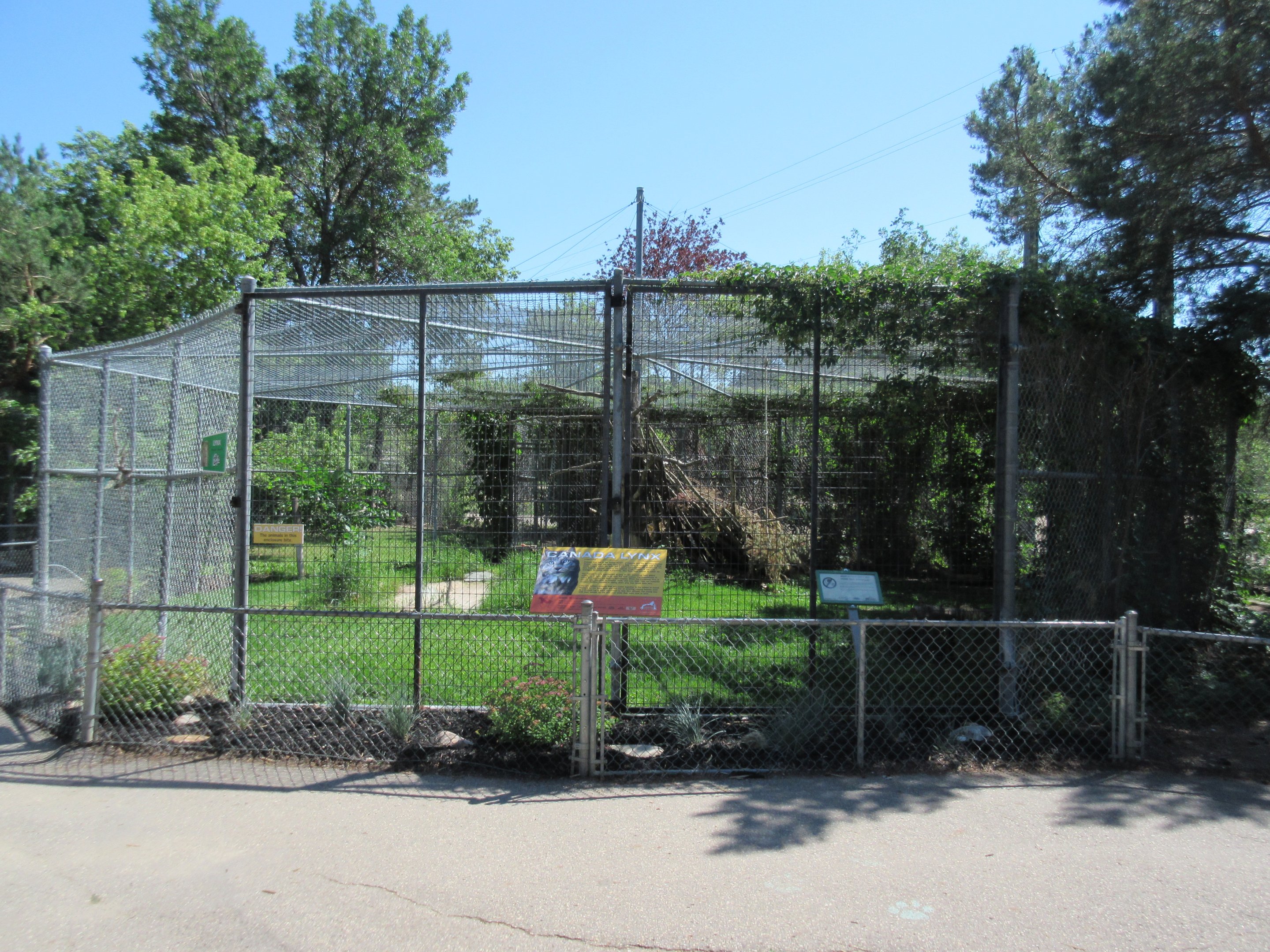 Canada Lynx Exhibit #1