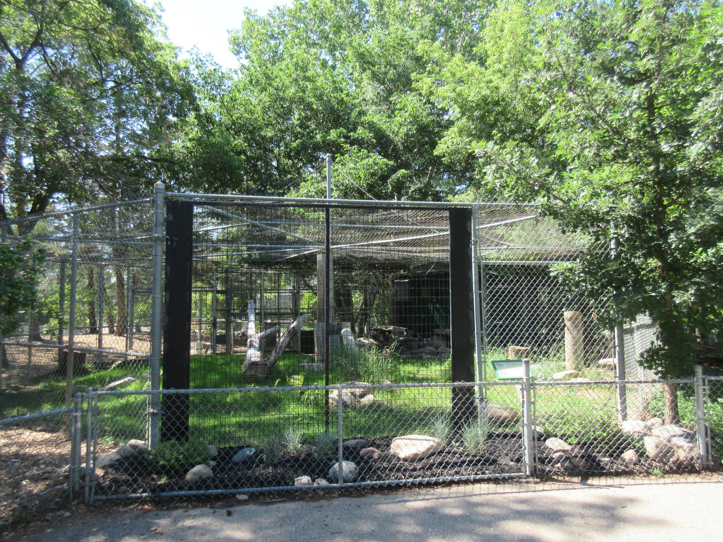 Canada Lynx Exhibit #2