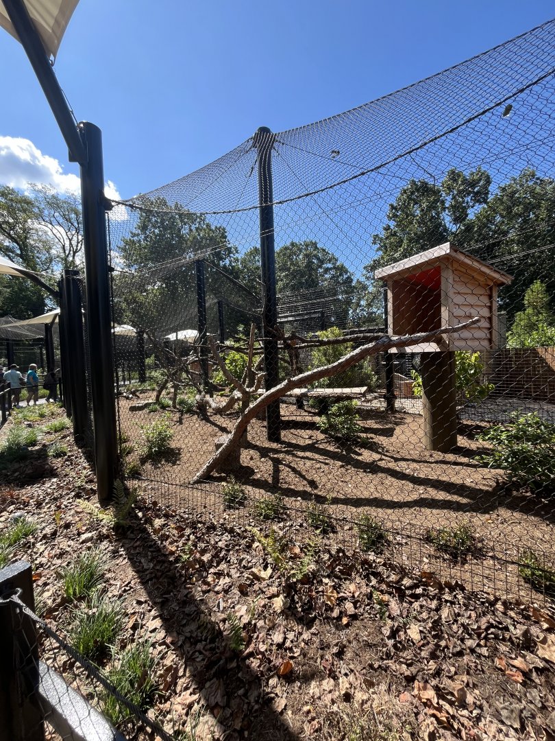 Canada Lynx Exhibit - August 2025