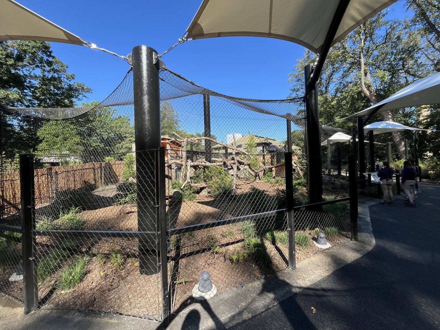 Canada Lynx Exhibit - August 2025