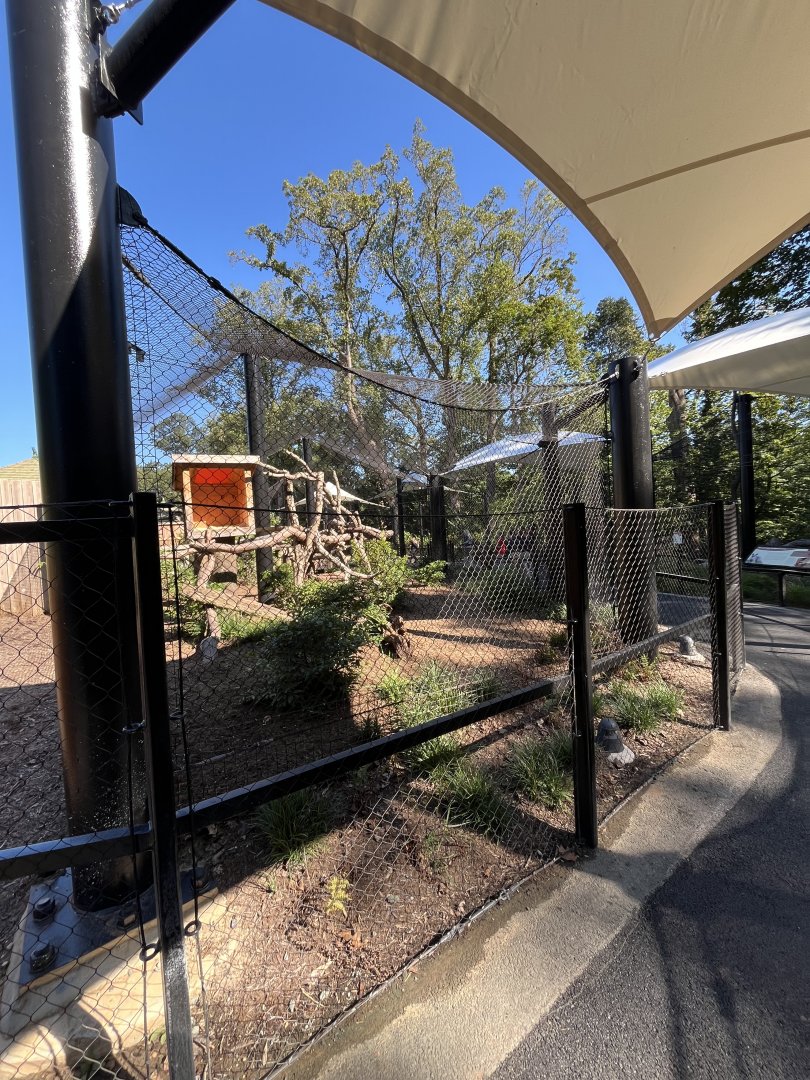 Canada Lynx Exhibit - August 2025