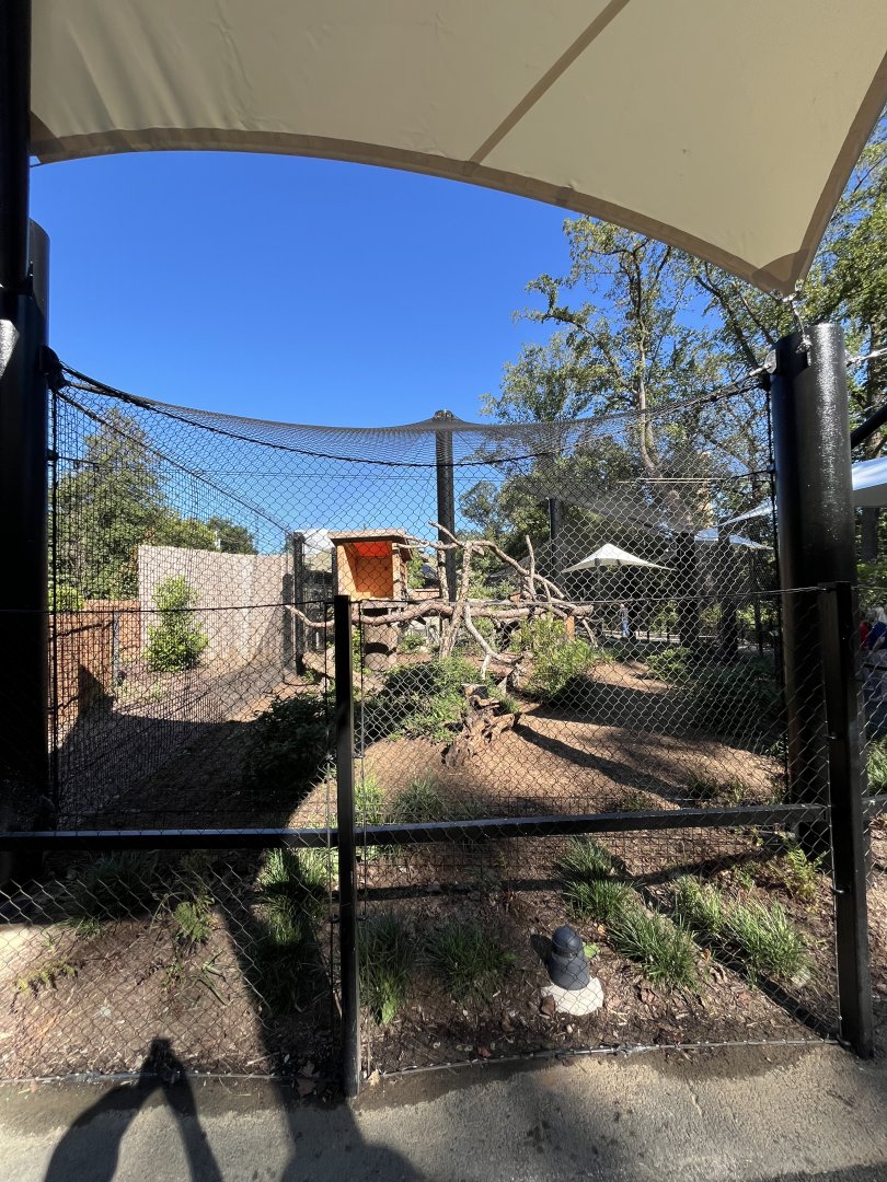 Canada Lynx Exhibit August 2025