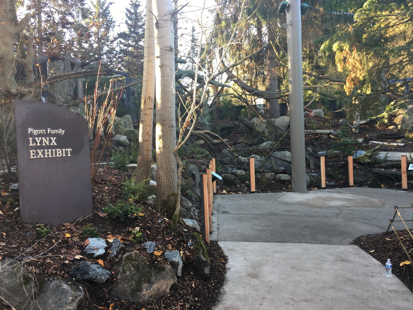 Canada Lynx Exhibit (New addition in late 2022)