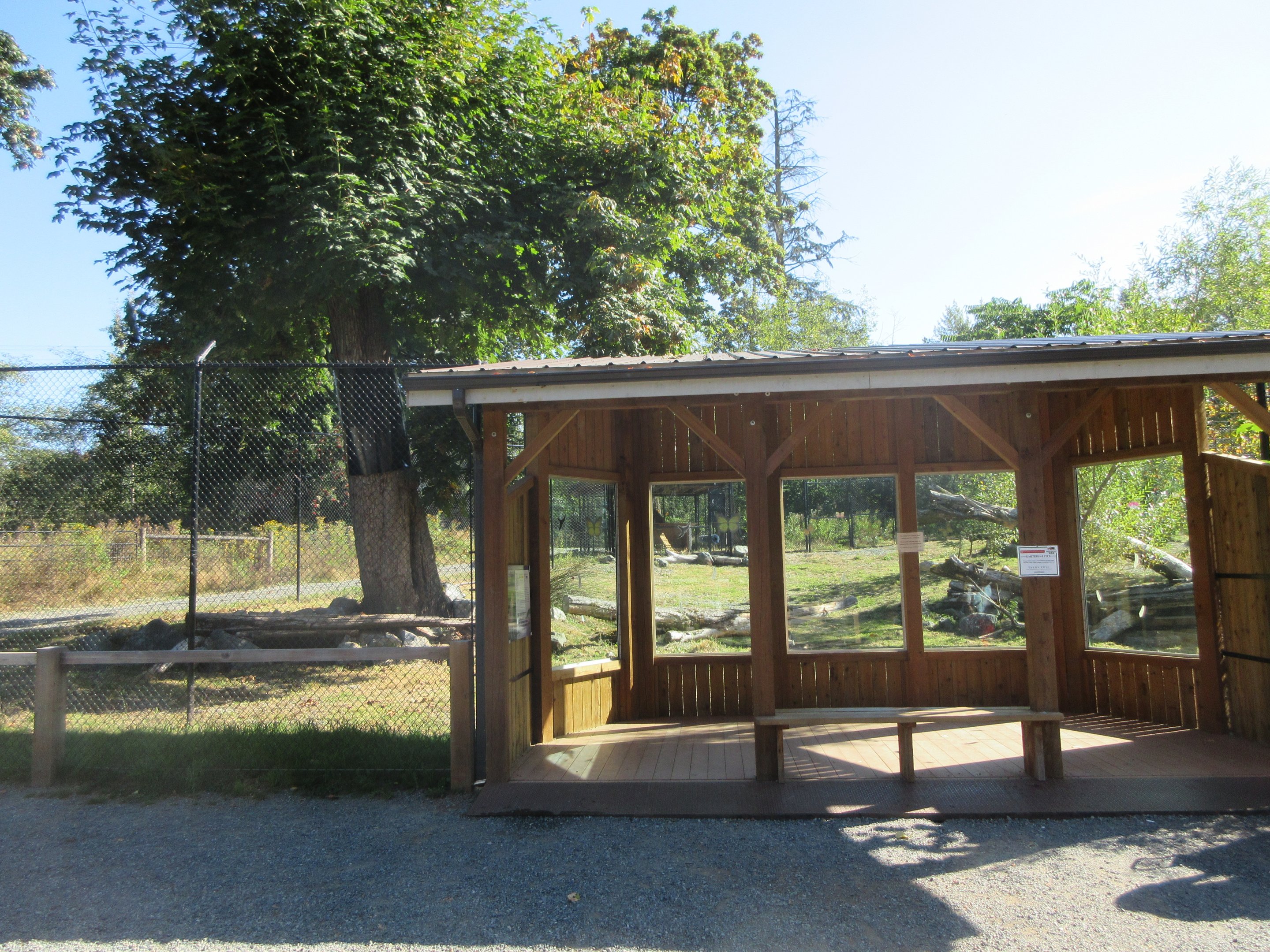 Canada Lynx Exhibit (New in 2019)