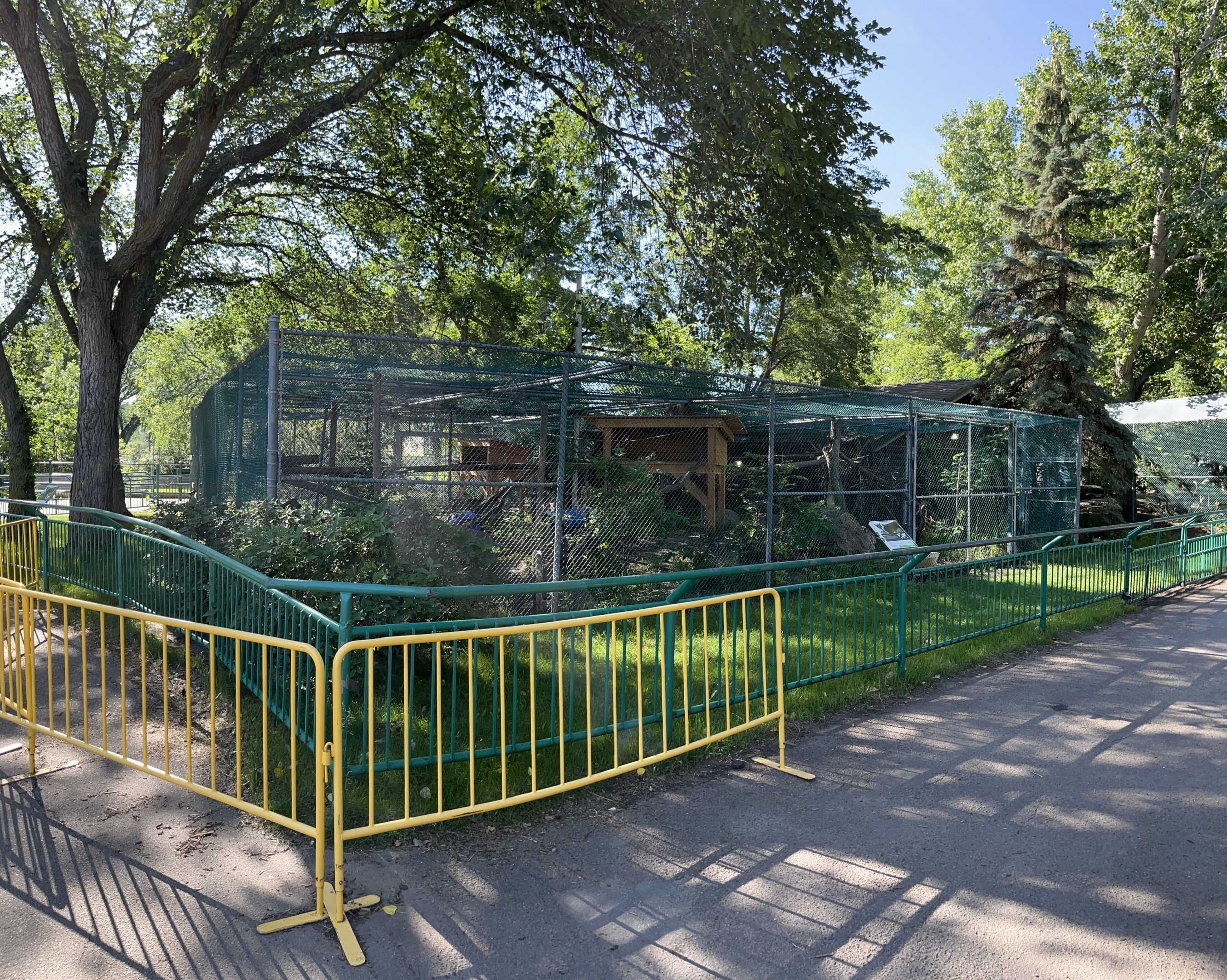 Canada Lynx Exhibits