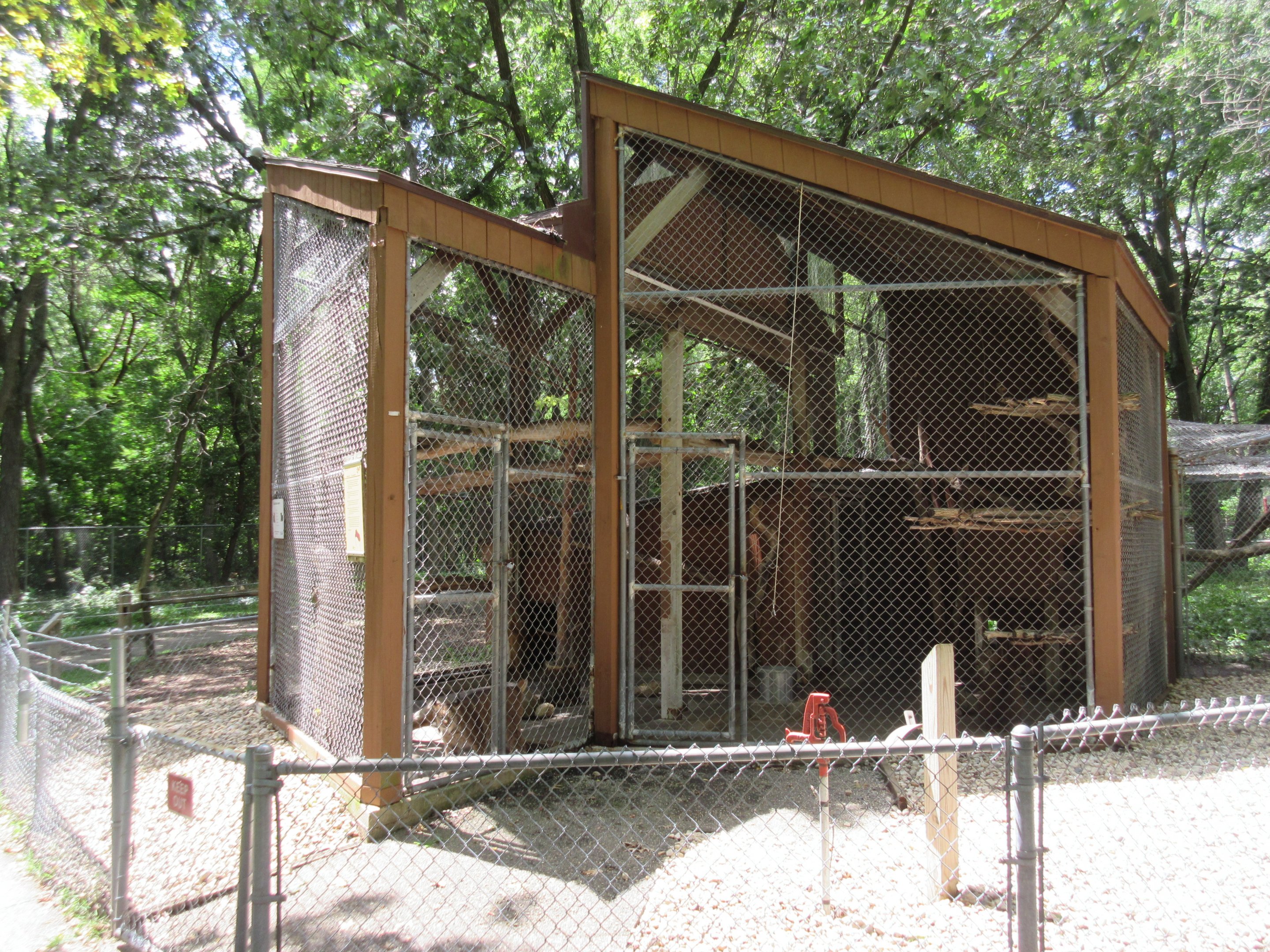 Canada Lynx Indoor Exhibit