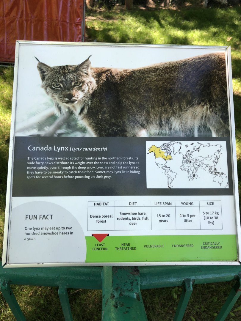Canada Lynx Sign at Edmonton Valley Zoo (July 2022)