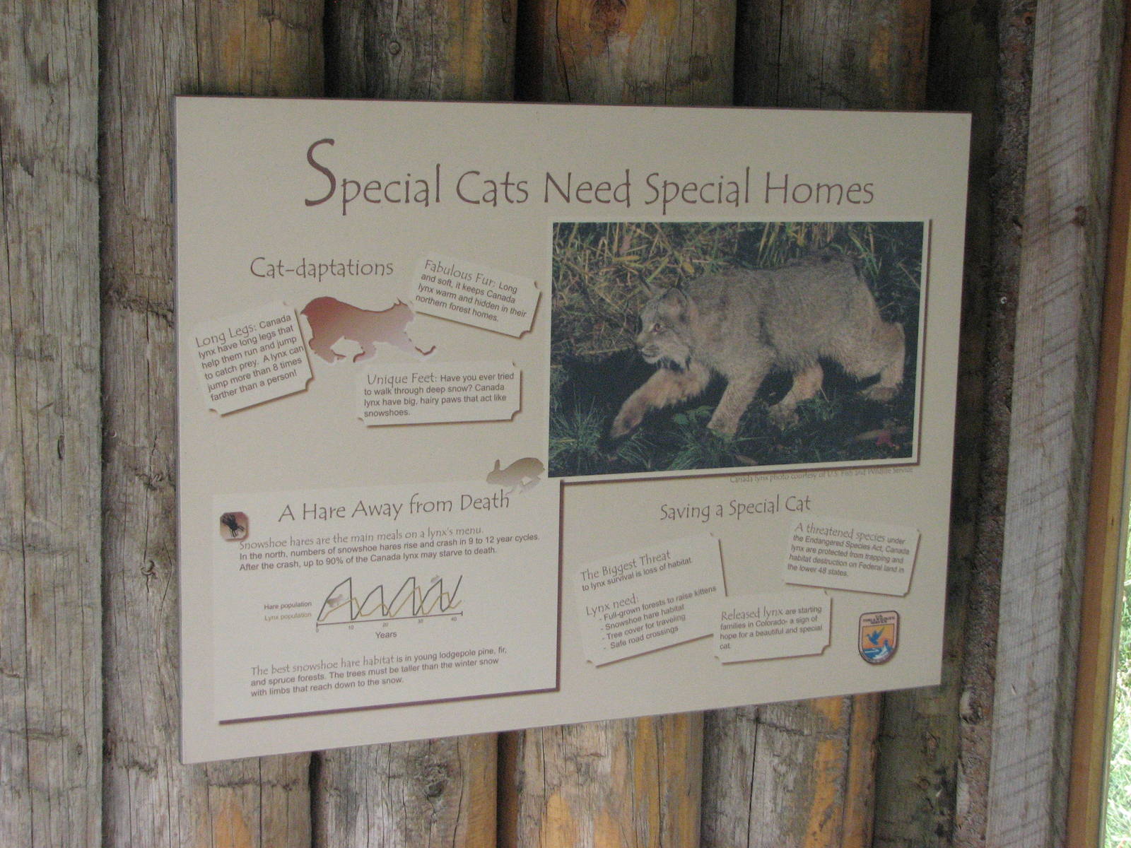 Canada Lynx Signage