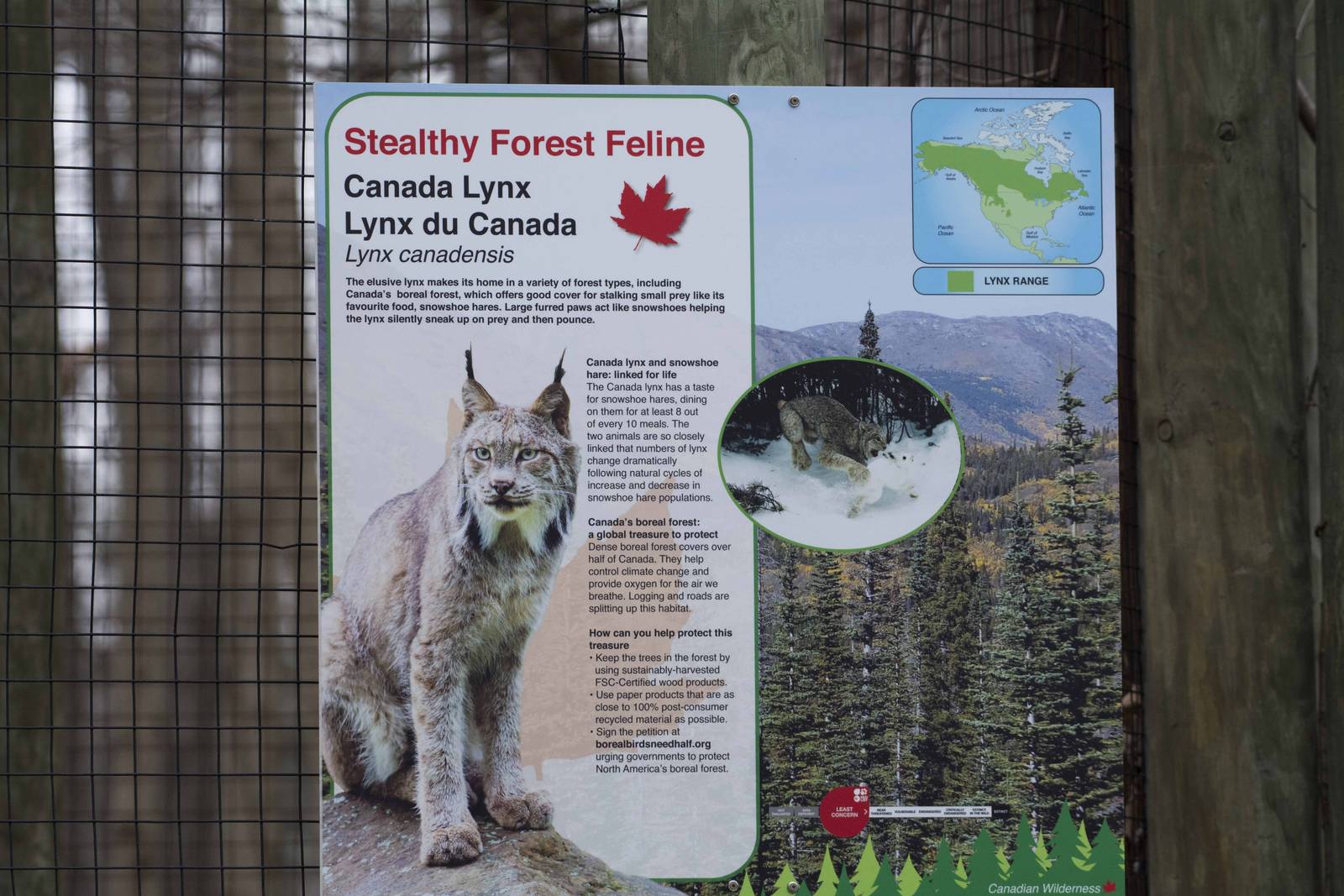 Canada Lynx Signage