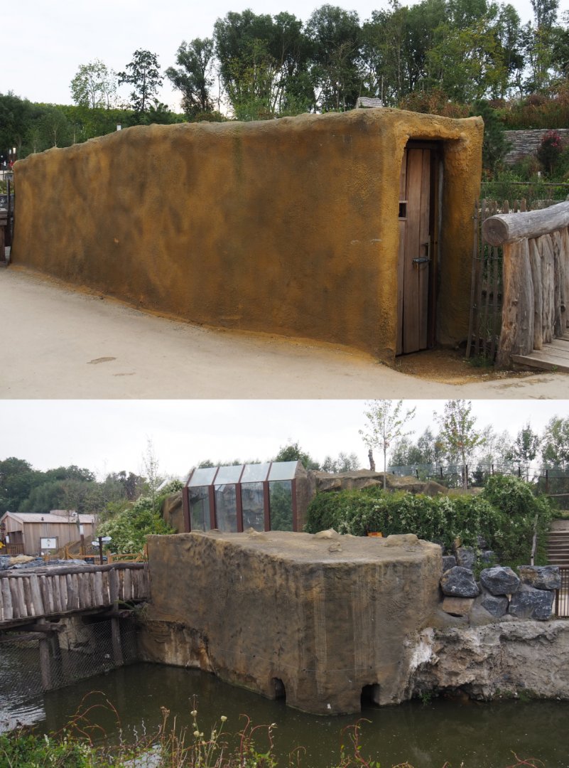 Canadian beaver den building, 2020-09-02/03