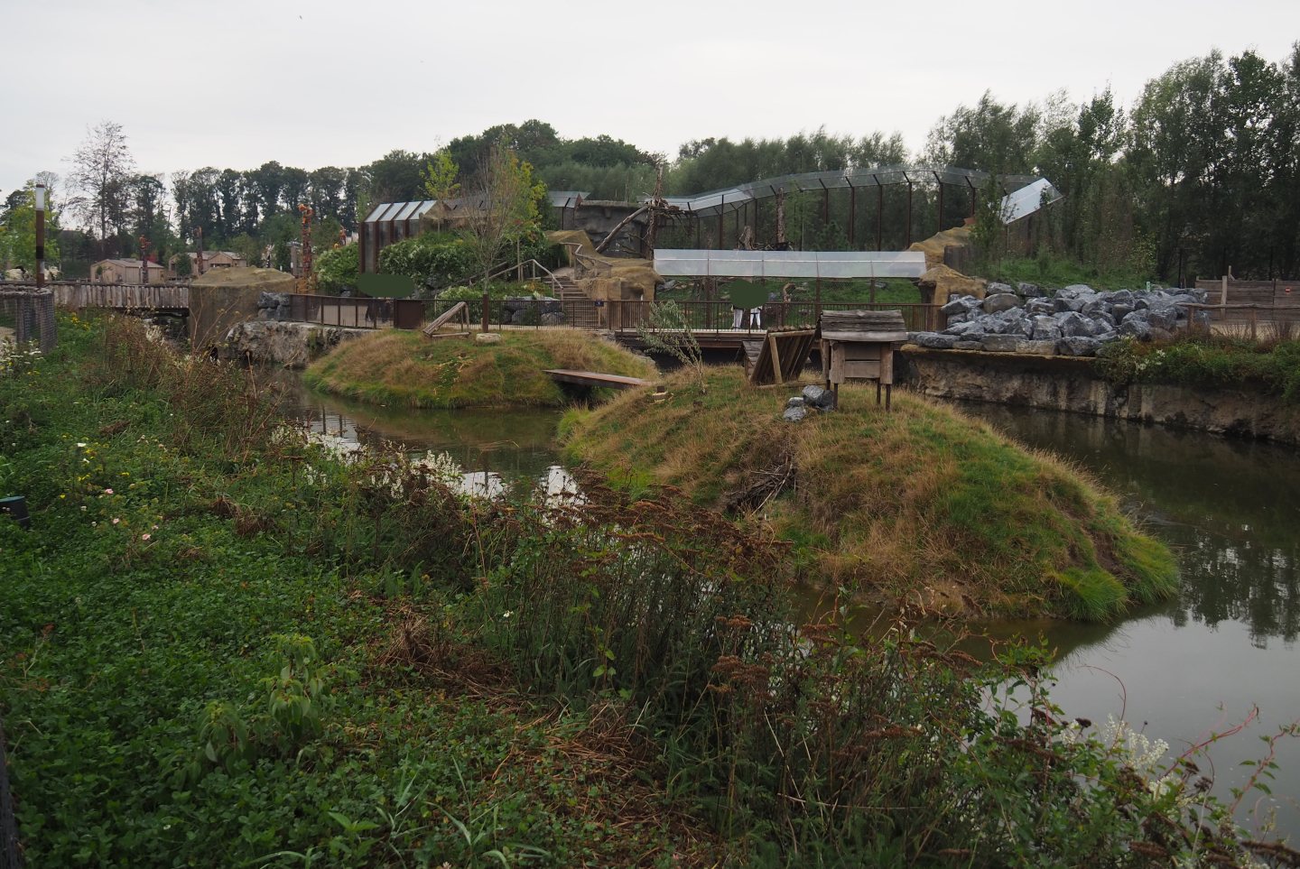Canadian beaver exhibit, 2020-09-03