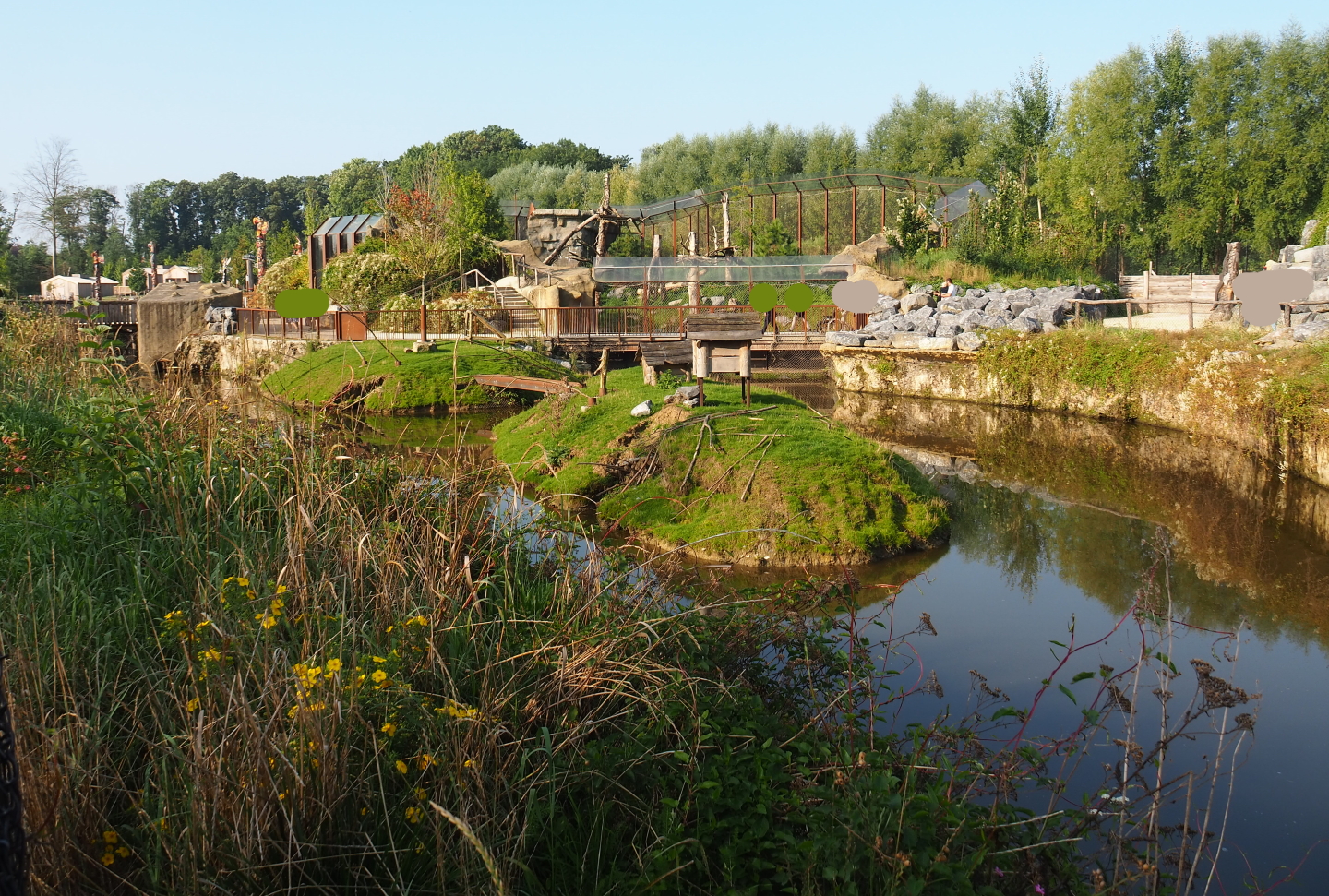 Canadian beaver exhibit, 2021-09-02