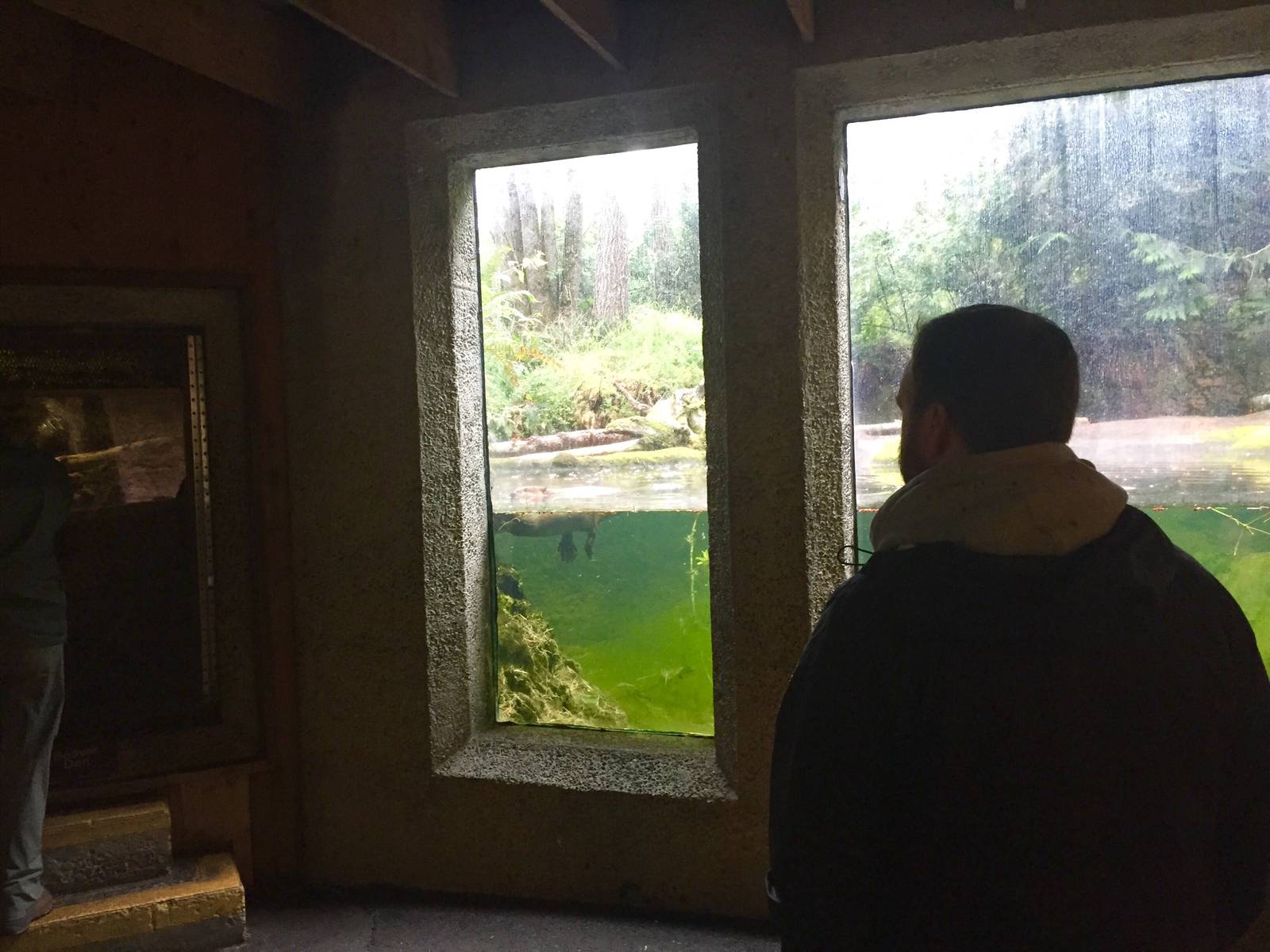 Canadian Beaver Exhibit
